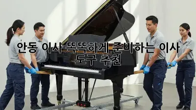 안동 이사, 똑똑하게 준비하는 이사 도구 추천!