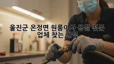 울진군 온정면 원룸이사, 용달 전문 업체 찾는 꿀팁🍯
