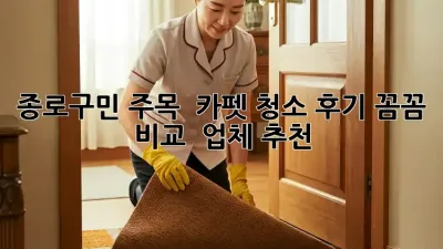 종로구민 주목! ✨ 카펫 청소 후기 꼼꼼 비교 & 업체 추천